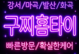 [구찌홈타이]강서구 출징마사지 | 등촌·가양·방화  스웨디시업체 비교